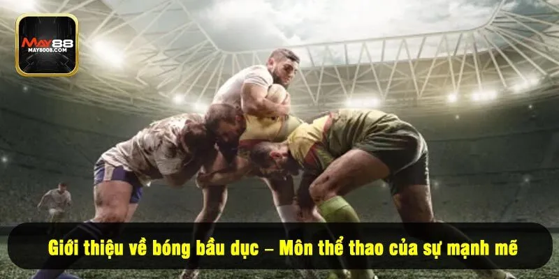Giới thiệu về bóng bầu dục – Môn thể thao của sự mạnh mẽ